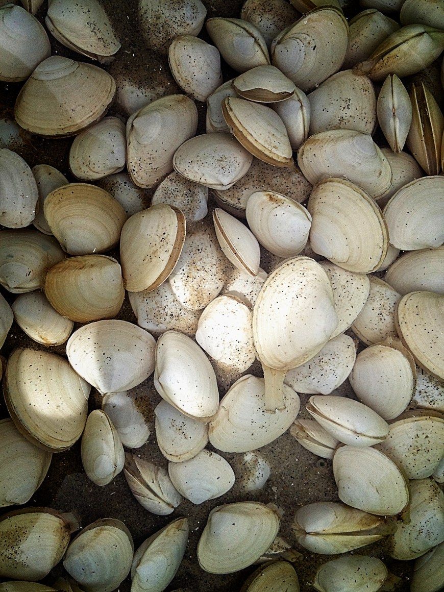 The Comfort of Others