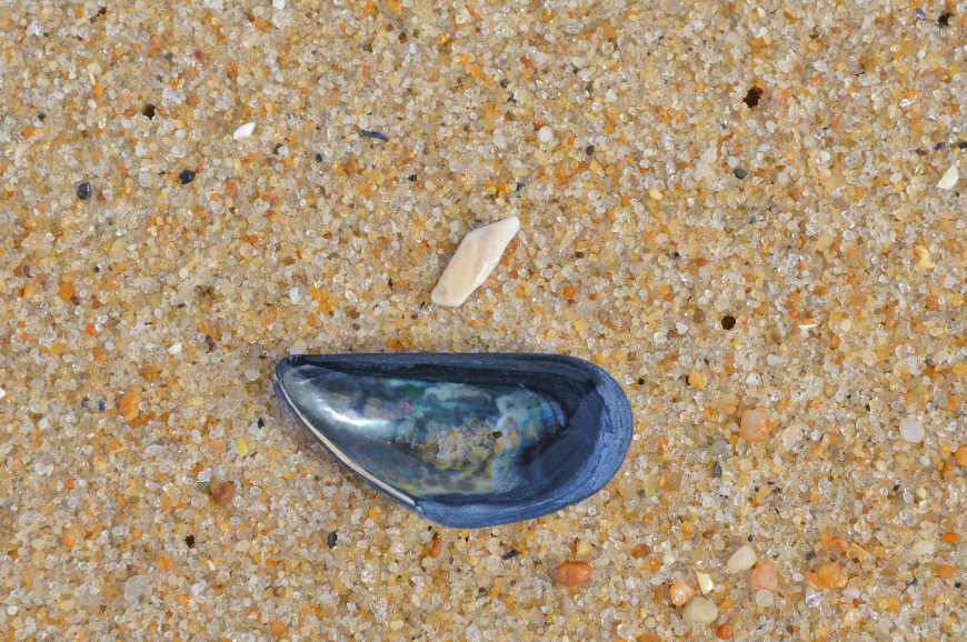 All the Rainbow in an Inch