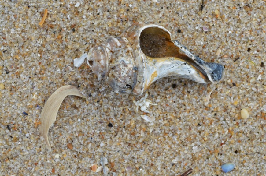 20130707-141835.jpg