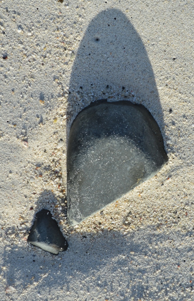 20130808-115740.jpg