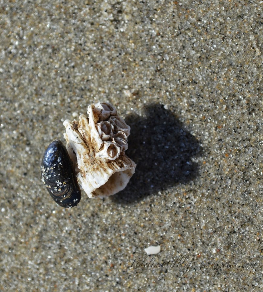 20130909-071425.jpg