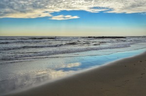 Spring Lake Reflection